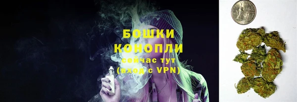 молекула духа Кодинск