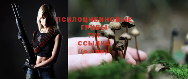 ПСИЛОЦИБИНОВЫЕ ГРИБЫ Саяногорск