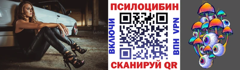 Псилоцибиновые грибы Magic Shrooms  наркошоп  Вилючинск 
